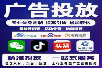 SEM推广实战：成功案例解读与策略调整